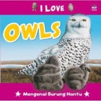 Image of I love owls: mengenal burung hantu