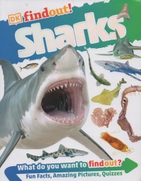 Image of Sharks
